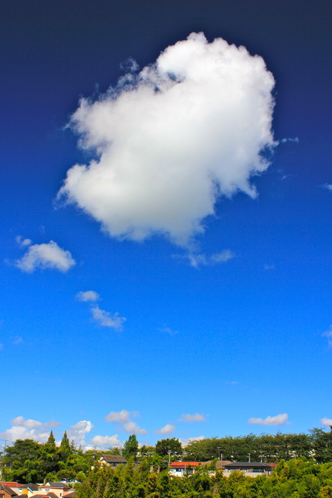 a0248459_19214881.jpg