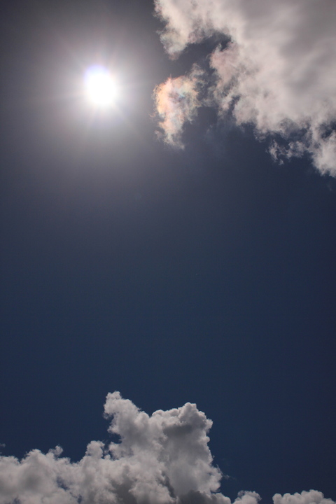 a0248459_1925166.jpg