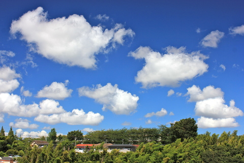 a0248459_19253679.jpg
