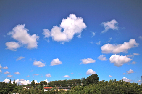 a0248459_19261690.jpg