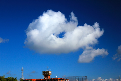 a0248459_19262881.jpg