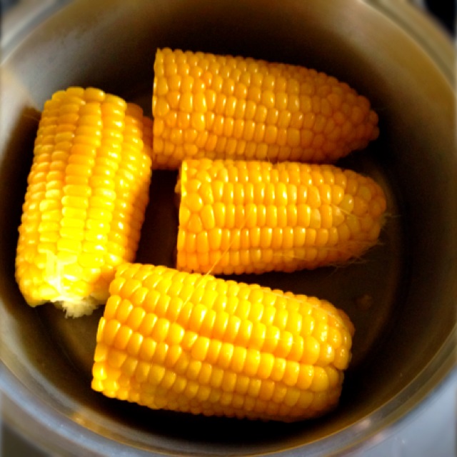 d0194759_14213730.jpg