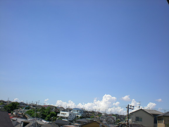 a0118461_1265145.jpg
