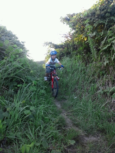 d0227362_22294050.jpg