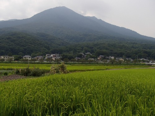 b0050067_8212468.jpg