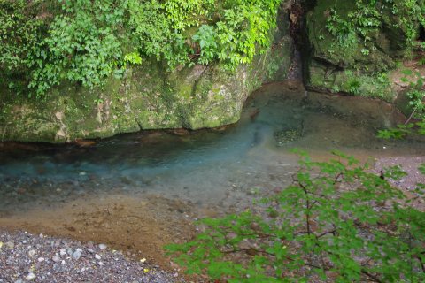 e0045768_20414664.jpg