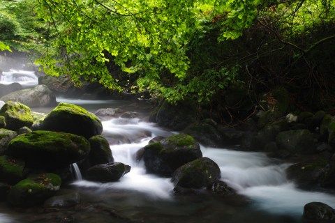 e0045768_20451878.jpg