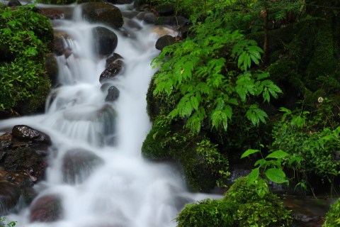 e0045768_20492815.jpg