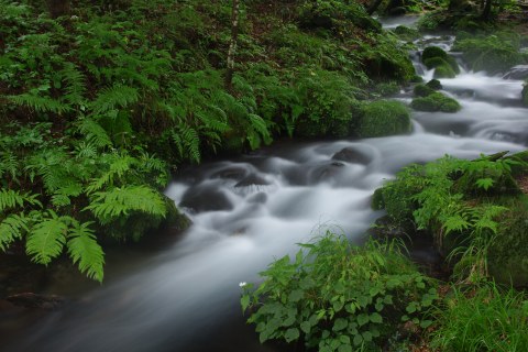 e0045768_20495012.jpg