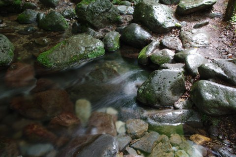 e0045768_20512626.jpg
