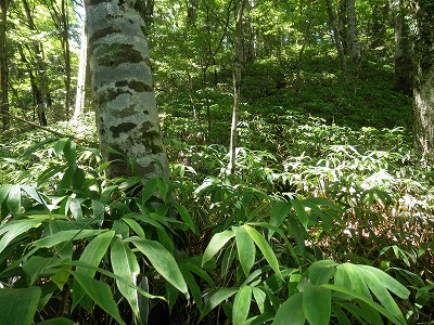 f0057070_22575197.jpg
