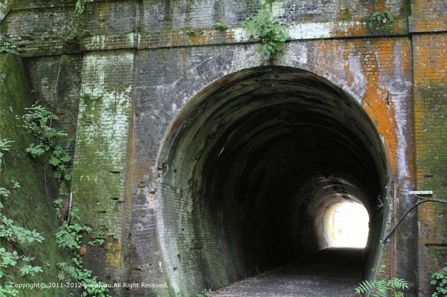 e0218375_1754052.jpg