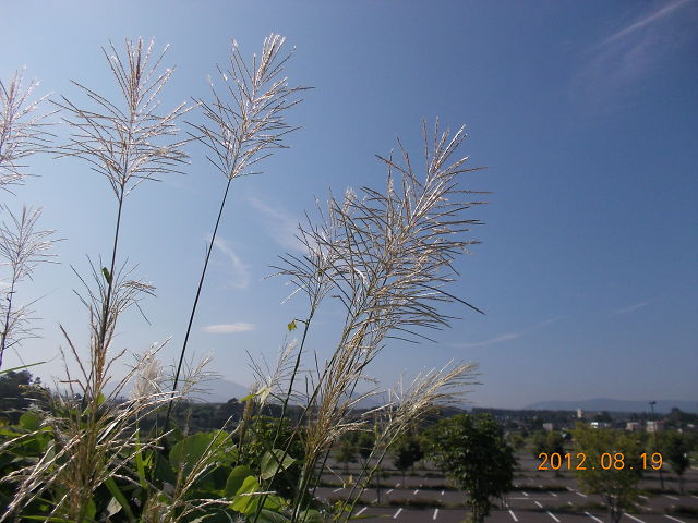 a0007388_13302557.jpg