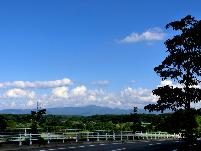 b0203588_21492973.jpg