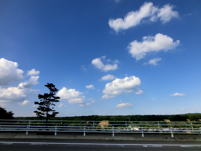 b0203588_21495128.jpg