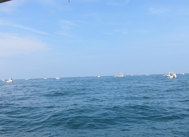 f0106190_1481335.jpg