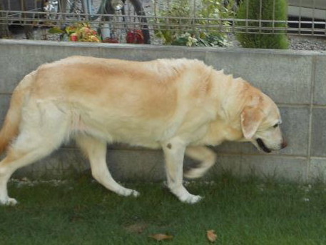 c0028792_23441558.jpg
