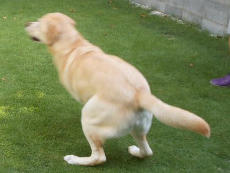 c0028792_23445311.jpg