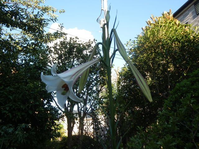 f0130894_22135961.jpg