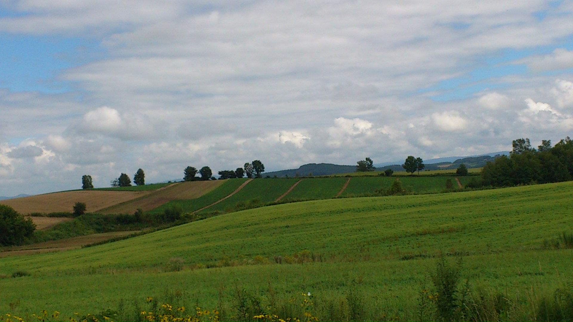 d0107097_4284210.jpg