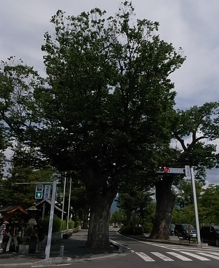 e0043700_2185199.jpg