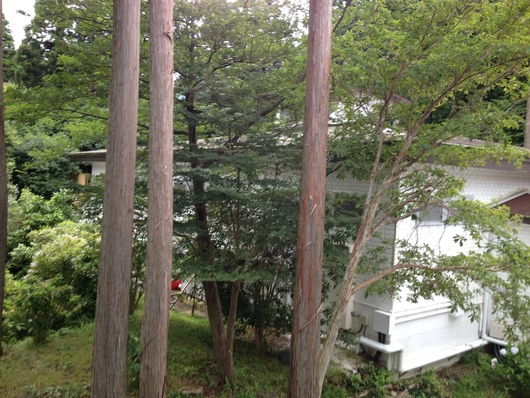 e0007801_17233.jpg