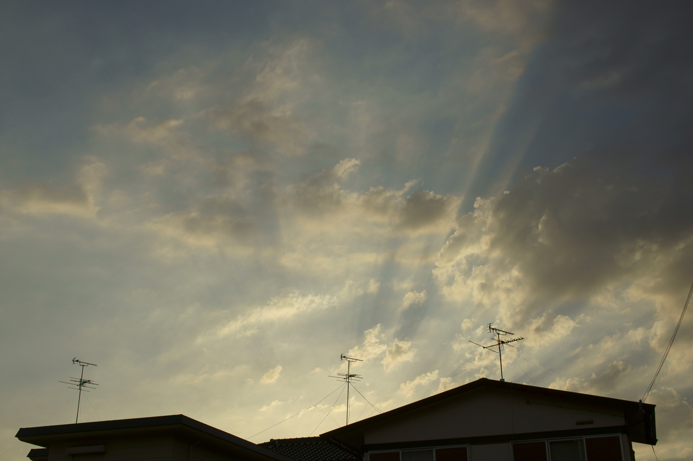 c0120903_2461637.jpg
