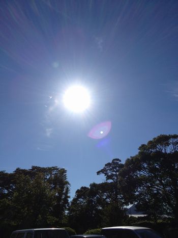 c0218303_21364923.jpg