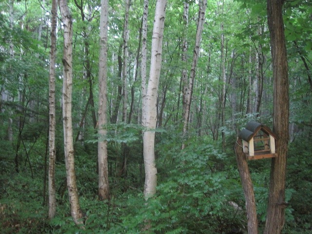 f0202703_1155156.jpg