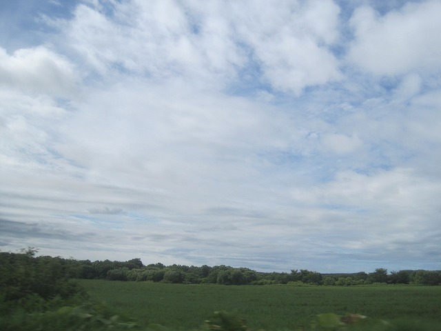 f0202703_22172597.jpg