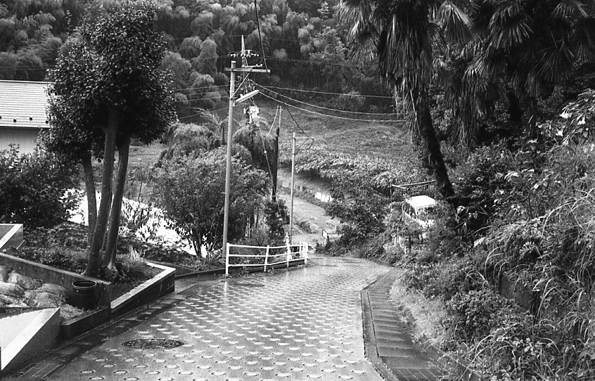 c0171206_15564472.jpg