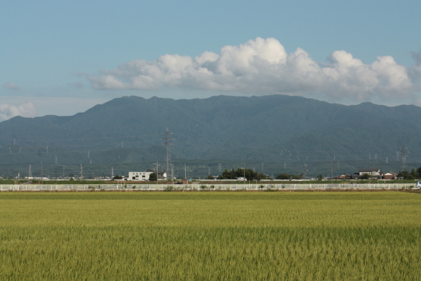 d0001008_735150.jpg