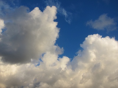 d0169411_2330431.jpg