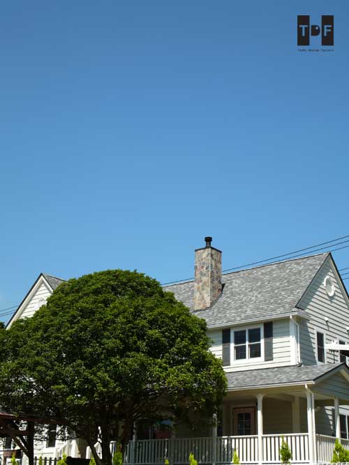 b0144413_1662445.jpg