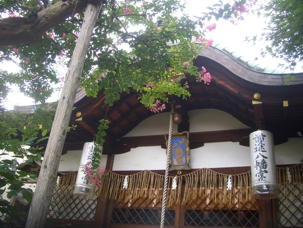 e0033713_1012225.jpg