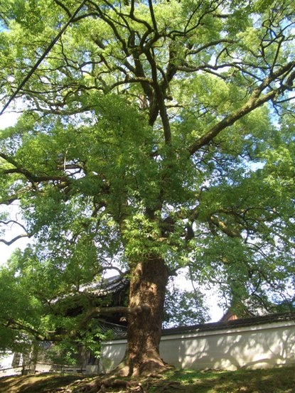 e0033713_9141936.jpg
