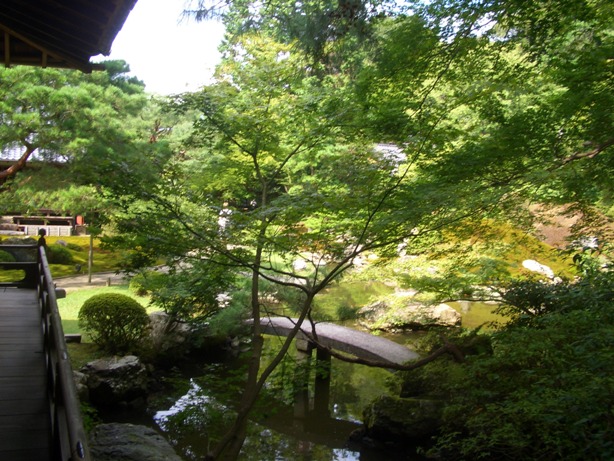 e0033713_97243.jpg