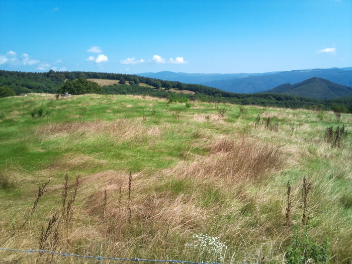 e0021116_9394485.jpg