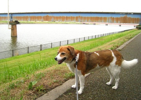 c0084117_21322881.jpg