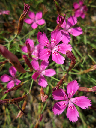 f0234936_534010.jpg