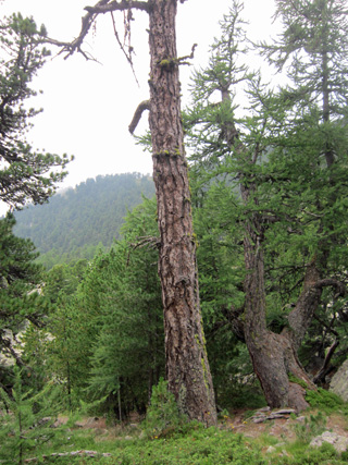 f0234936_5362566.jpg
