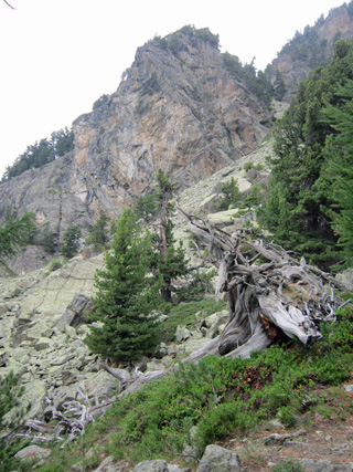 f0234936_5365165.jpg
