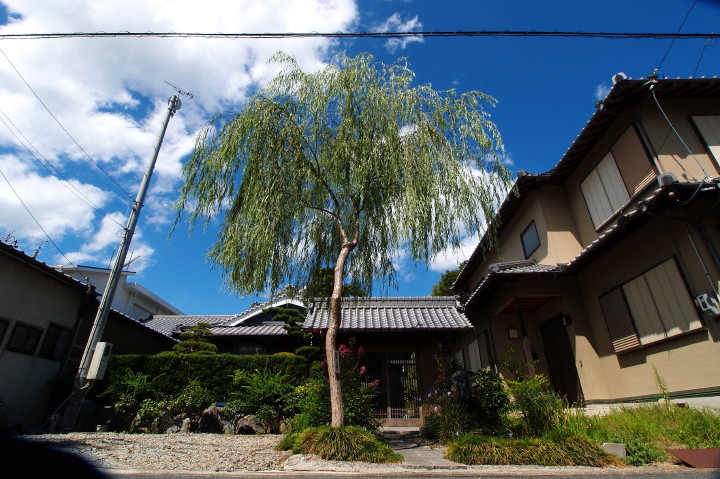 d0241937_14152590.jpg