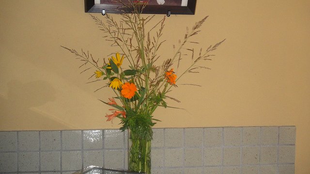 f0208737_815480.jpg