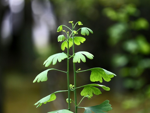 a0242438_1837918.jpg