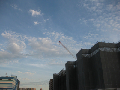 f0141840_64311.jpg