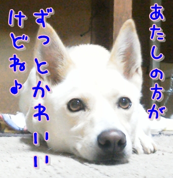 f0195543_21223413.jpg