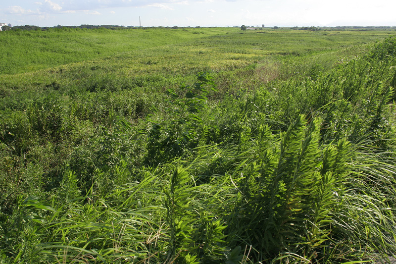 f0184244_20543163.jpg