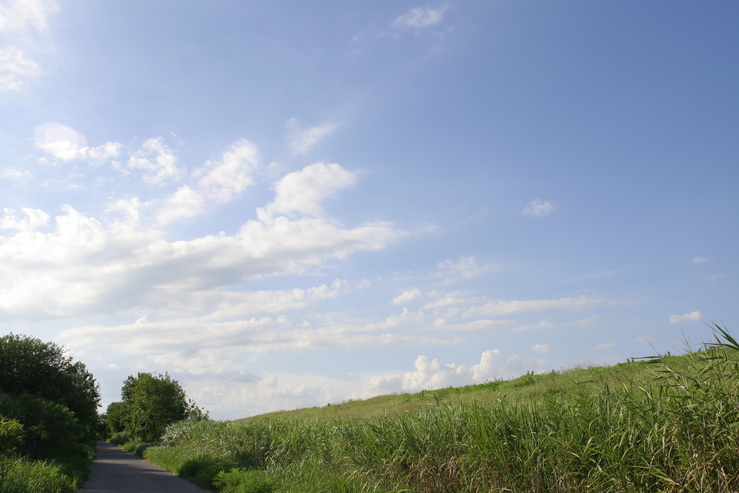 f0184244_20554515.jpg