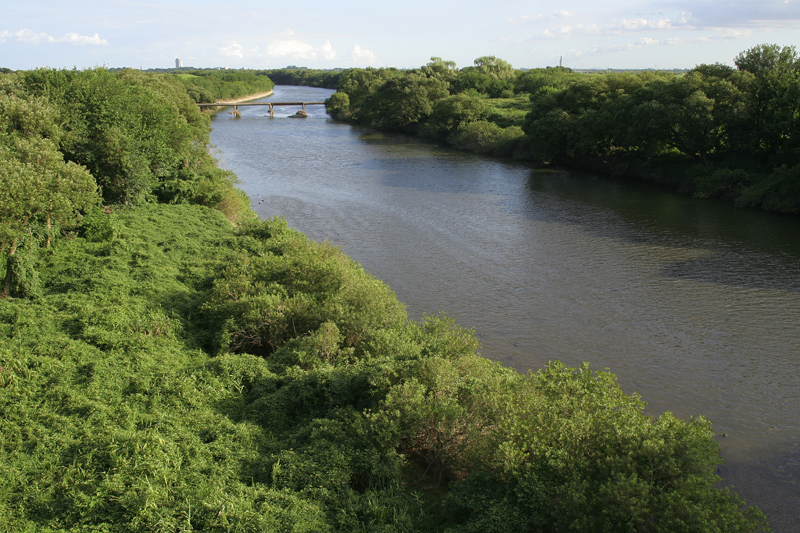 f0184244_20555455.jpg